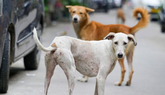 screenshot 20250822 075102~2